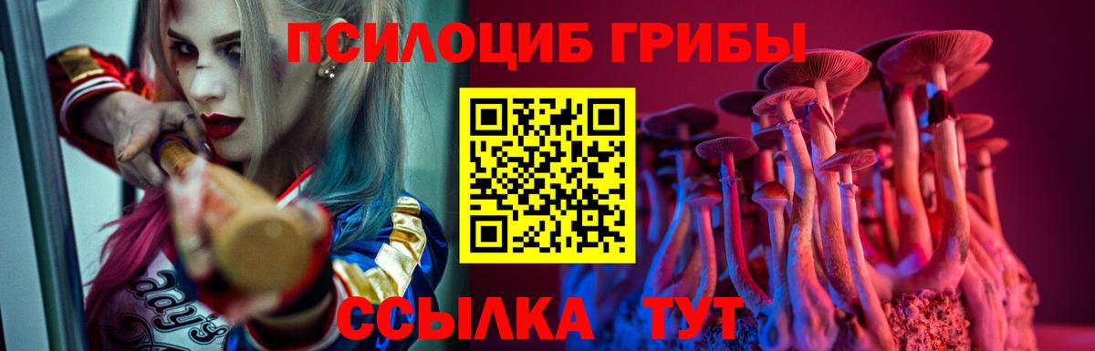 Галлюциногенные грибы Psilocybine cubensis  Вход с VPN  Псилоцибиновые грибы Psilocybe  Дагестанские Огни 